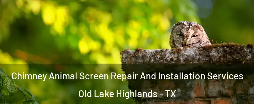 Chimney Animal Screen Repair And Installation Services Old Lake Highlands - TX