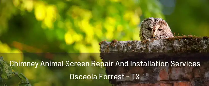 Chimney Animal Screen Repair And Installation Services Osceola Forrest - TX