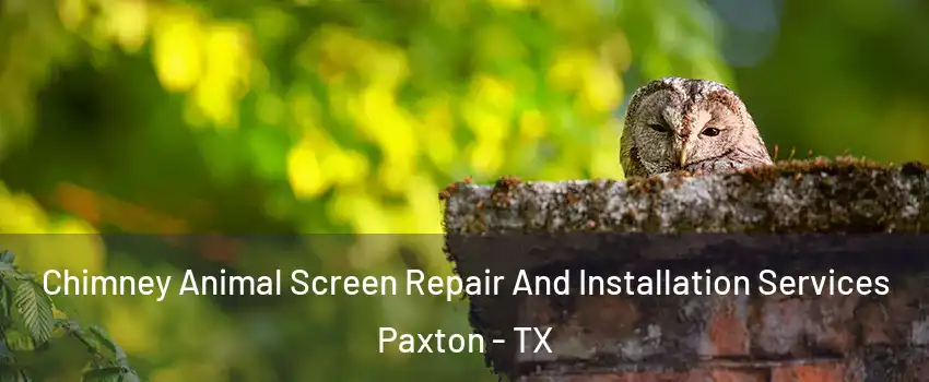 Chimney Animal Screen Repair And Installation Services Paxton - TX