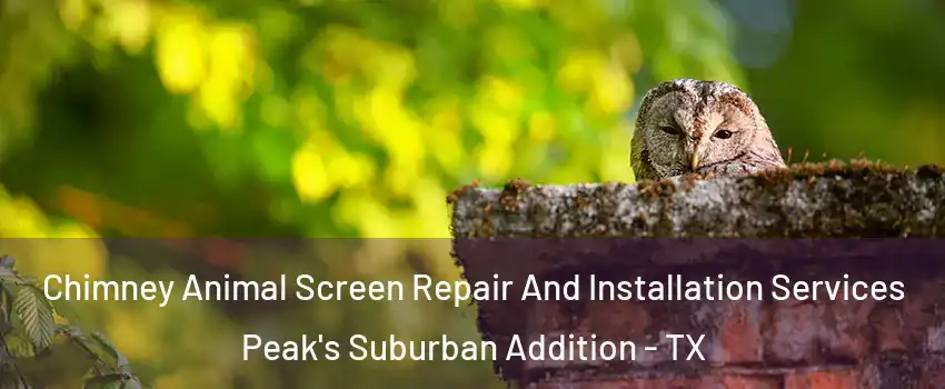 Chimney Animal Screen Repair And Installation Services Peak's Suburban Addition - TX