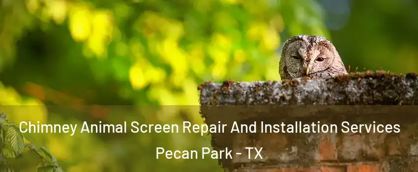 Chimney Animal Screen Repair And Installation Services Pecan Park - TX