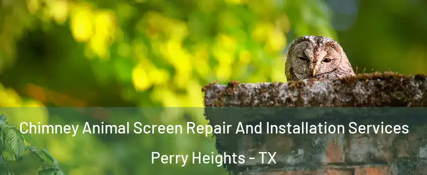 Chimney Animal Screen Repair And Installation Services Perry Heights - TX