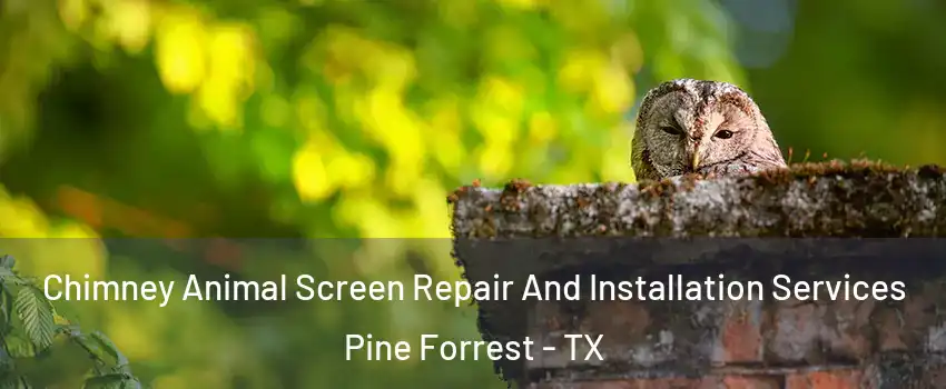 Chimney Animal Screen Repair And Installation Services Pine Forrest - TX