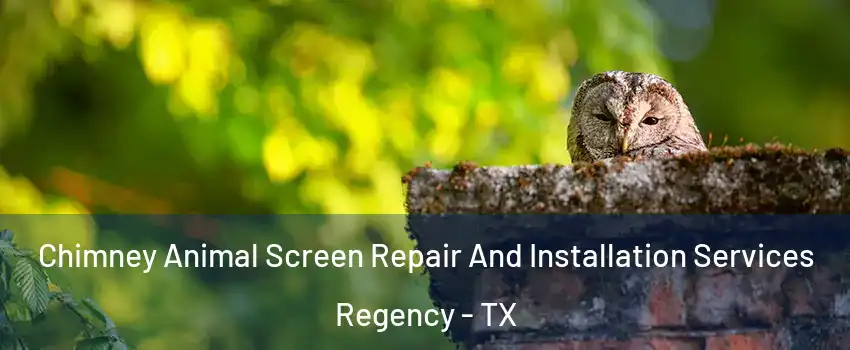 Chimney Animal Screen Repair And Installation Services Regency - TX