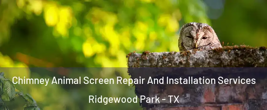 Chimney Animal Screen Repair And Installation Services Ridgewood Park - TX