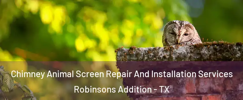 Chimney Animal Screen Repair And Installation Services Robinsons Addition - TX