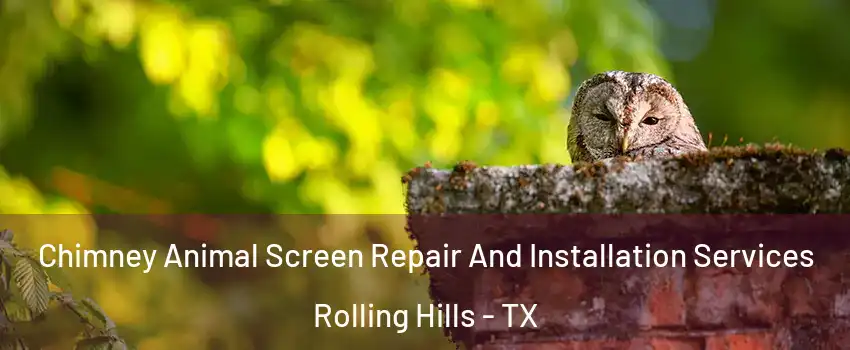 Chimney Animal Screen Repair And Installation Services Rolling Hills - TX