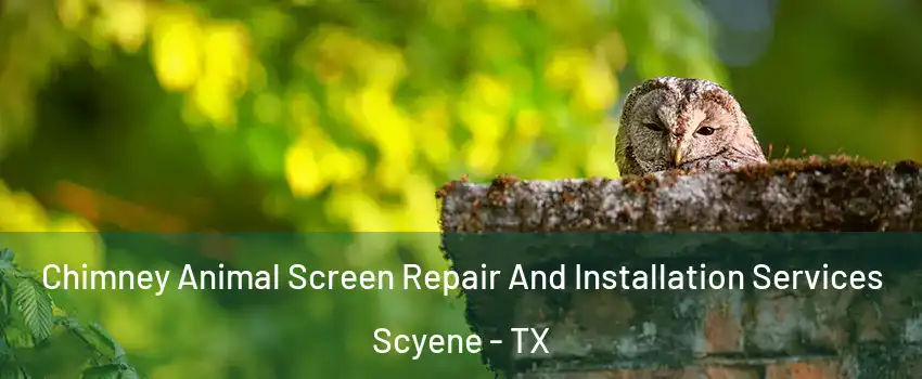 Chimney Animal Screen Repair And Installation Services Scyene - TX