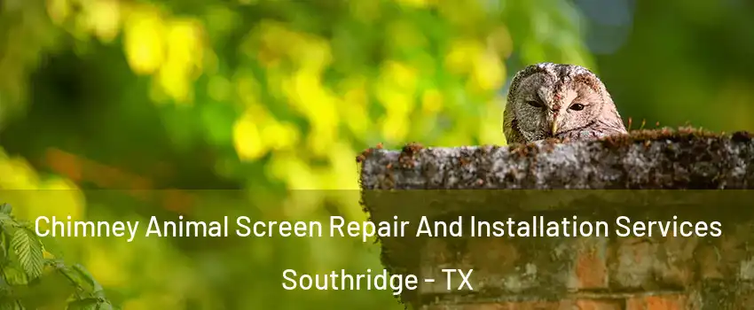 Chimney Animal Screen Repair And Installation Services Southridge - TX