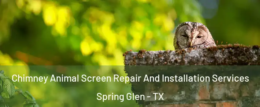 Chimney Animal Screen Repair And Installation Services Spring Glen - TX