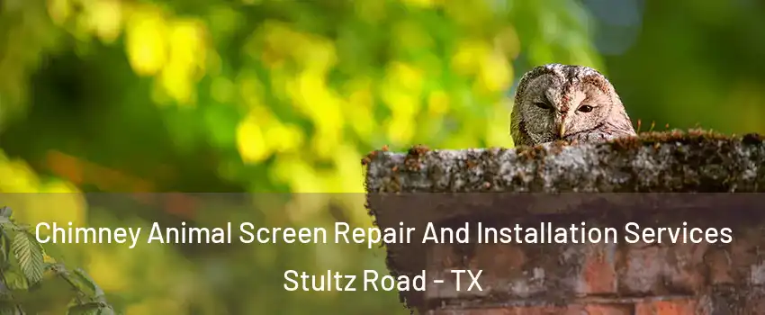 Chimney Animal Screen Repair And Installation Services Stultz Road - TX