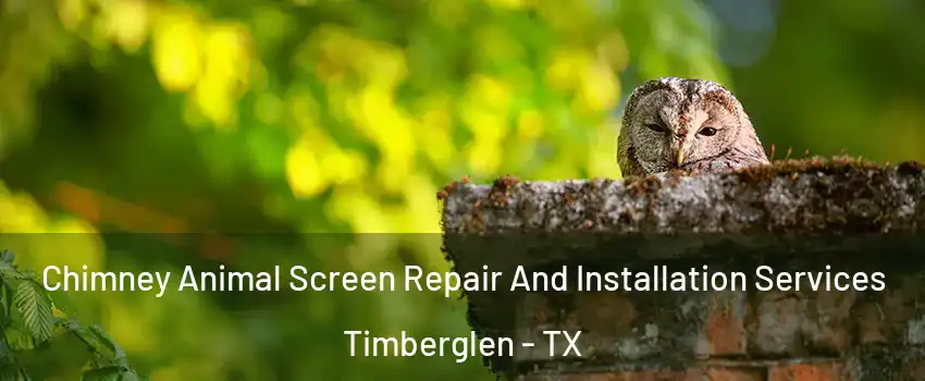 Chimney Animal Screen Repair And Installation Services Timberglen - TX