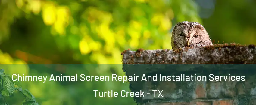 Chimney Animal Screen Repair And Installation Services Turtle Creek - TX