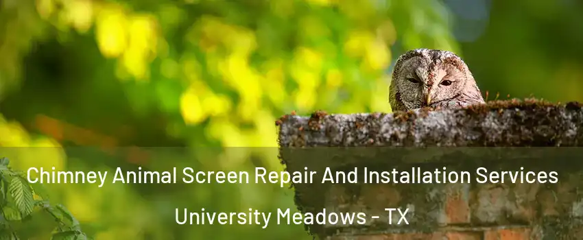 Chimney Animal Screen Repair And Installation Services University Meadows - TX