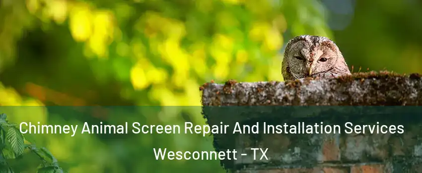 Chimney Animal Screen Repair And Installation Services Wesconnett - TX