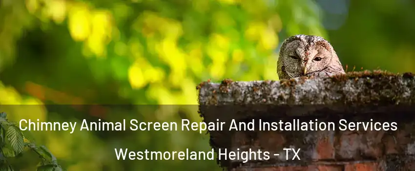 Chimney Animal Screen Repair And Installation Services Westmoreland Heights - TX