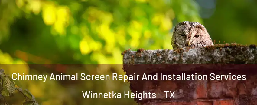 Chimney Animal Screen Repair And Installation Services Winnetka Heights - TX