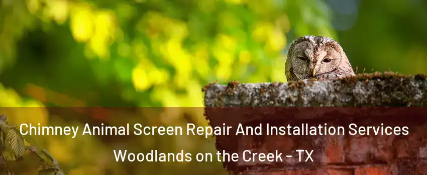 Chimney Animal Screen Repair And Installation Services Woodlands on the Creek - TX