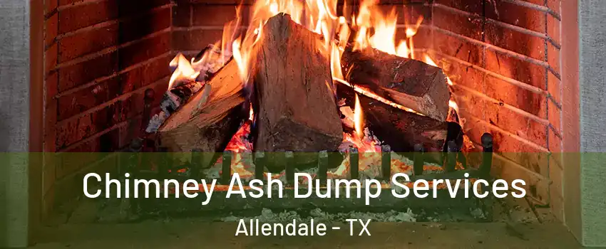 Chimney Ash Dump Services Allendale - TX