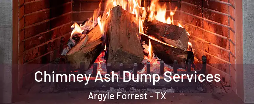 Chimney Ash Dump Services Argyle Forrest - TX