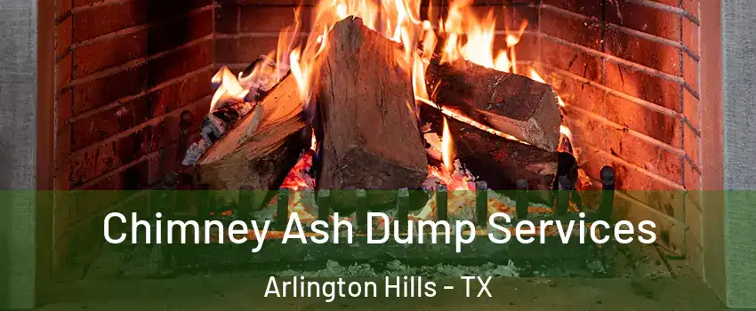Chimney Ash Dump Services Arlington Hills - TX
