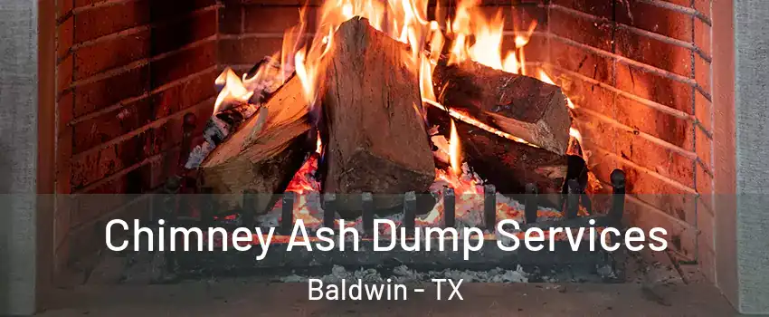 Chimney Ash Dump Services Baldwin - TX
