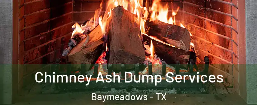 Chimney Ash Dump Services Baymeadows - TX