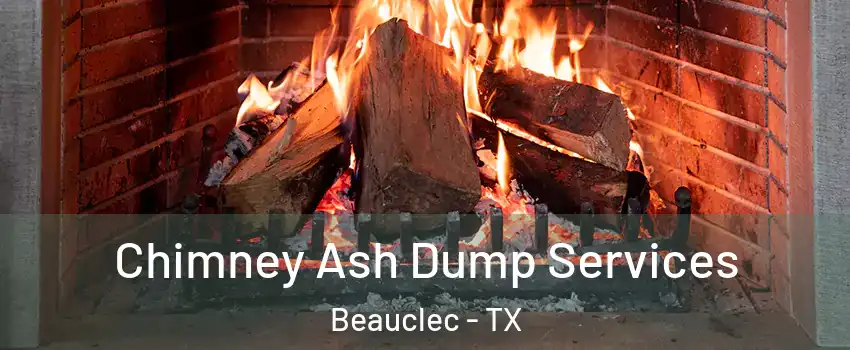 Chimney Ash Dump Services Beauclec - TX