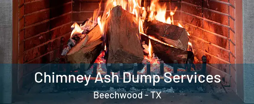 Chimney Ash Dump Services Beechwood - TX