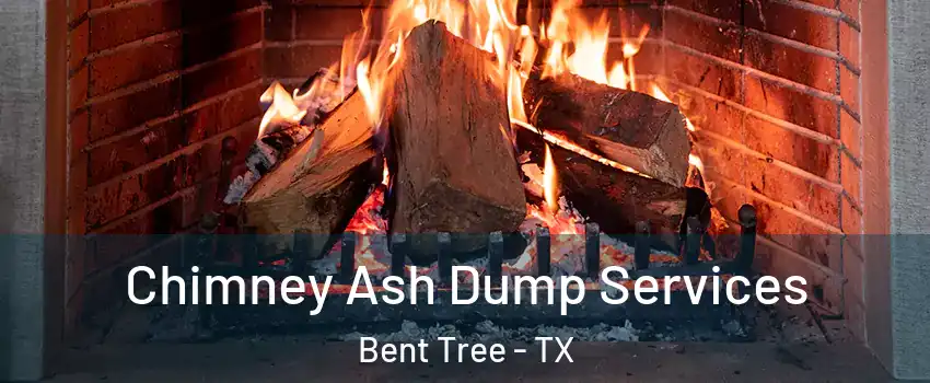 Chimney Ash Dump Services Bent Tree - TX