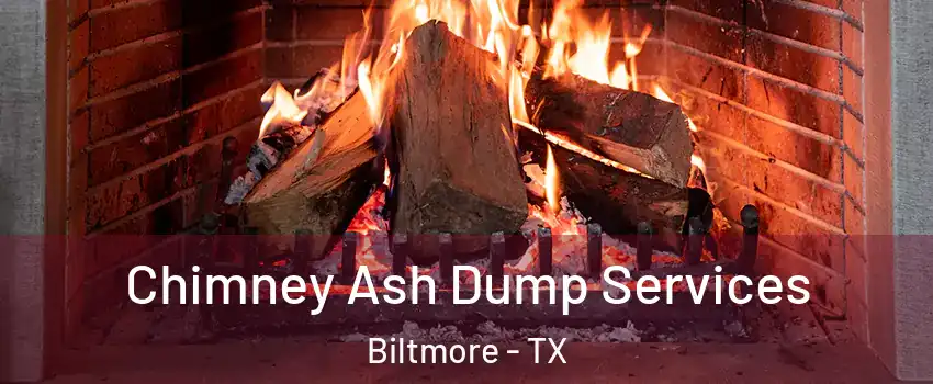 Chimney Ash Dump Services Biltmore - TX
