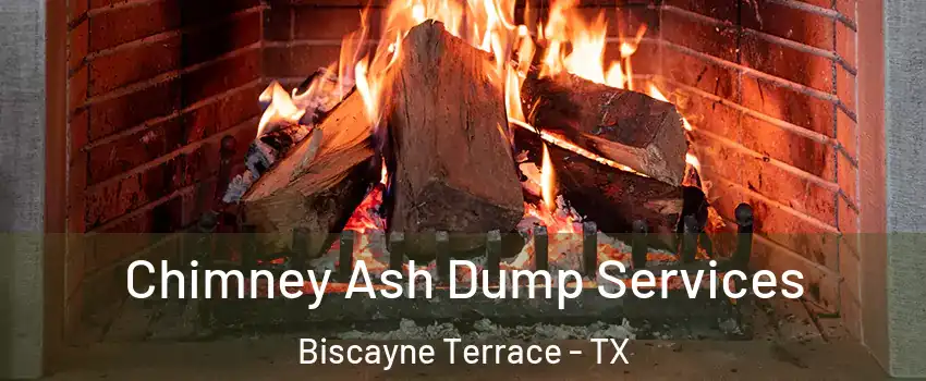 Chimney Ash Dump Services Biscayne Terrace - TX