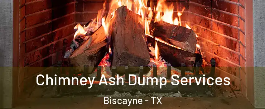 Chimney Ash Dump Services Biscayne - TX
