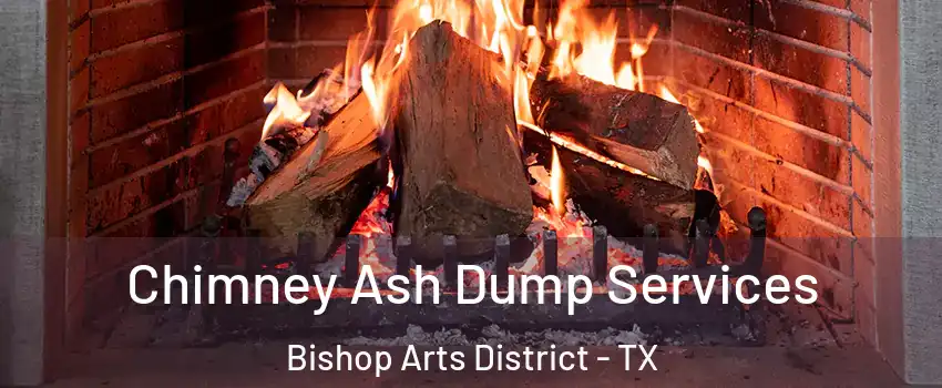 Chimney Ash Dump Services Bishop Arts District - TX