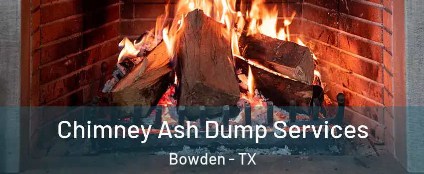 Chimney Ash Dump Services Bowden - TX