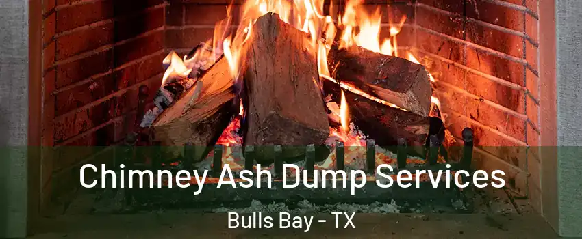 Chimney Ash Dump Services Bulls Bay - TX