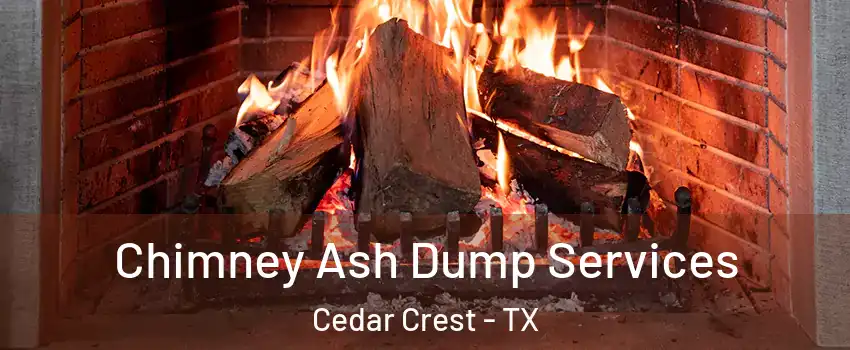 Chimney Ash Dump Services Cedar Crest - TX
