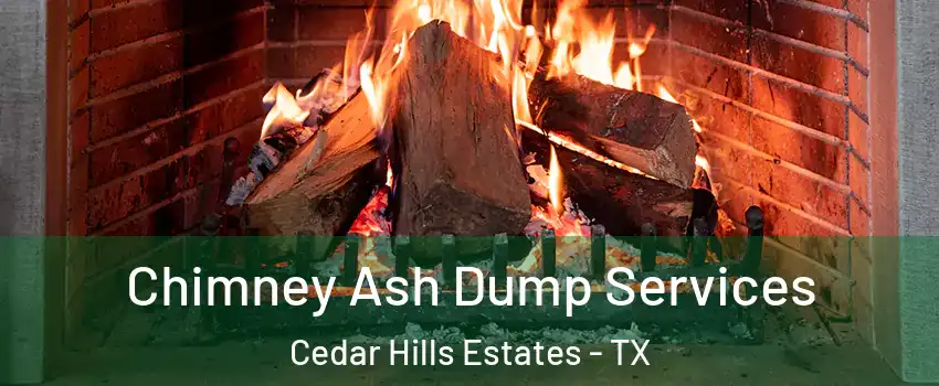 Chimney Ash Dump Services Cedar Hills Estates - TX
