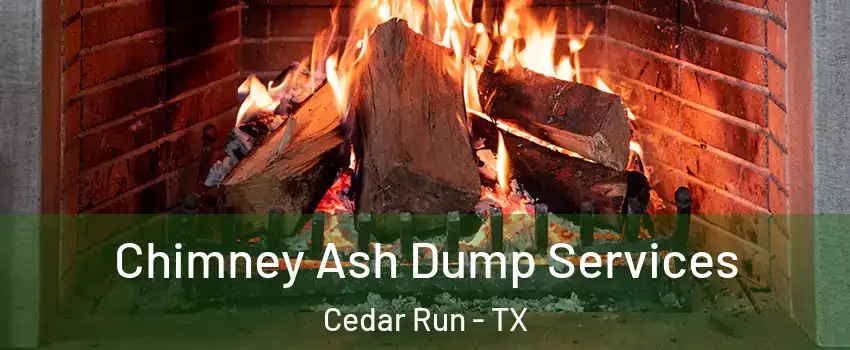 Chimney Ash Dump Services Cedar Run - TX