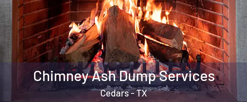 Chimney Ash Dump Services Cedars - TX