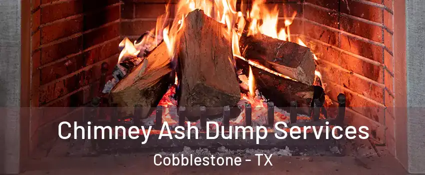 Chimney Ash Dump Services Cobblestone - TX