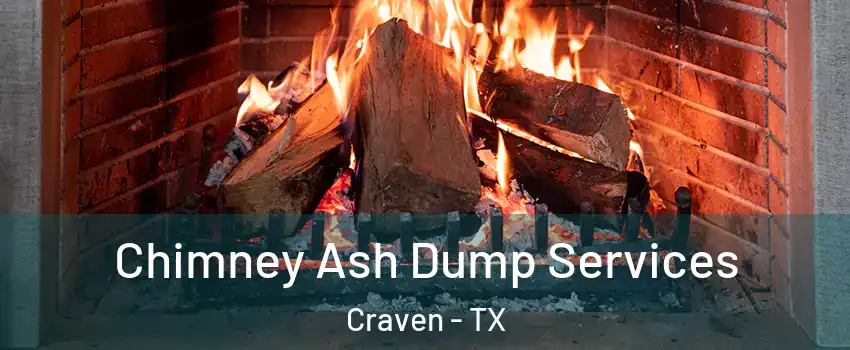 Chimney Ash Dump Services Craven - TX