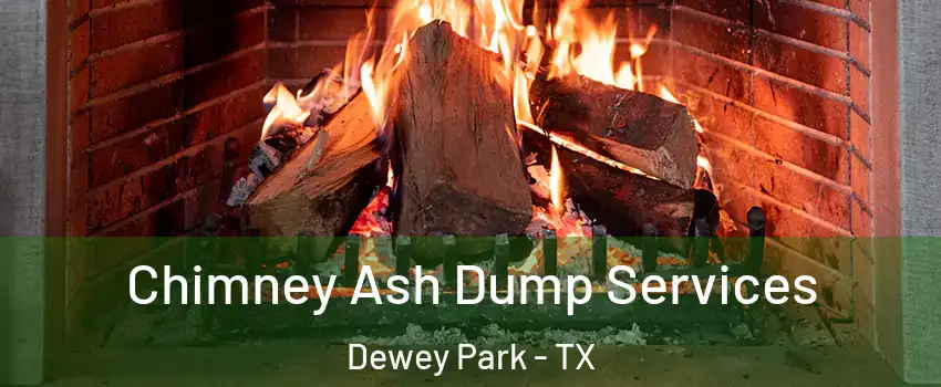 Chimney Ash Dump Services Dewey Park - TX