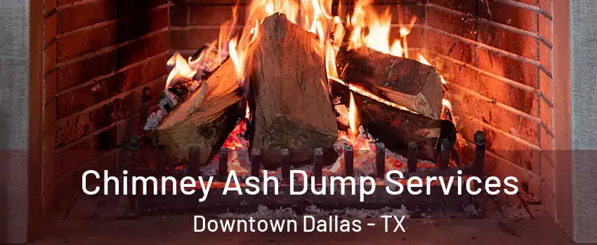Chimney Ash Dump Services Downtown Dallas - TX