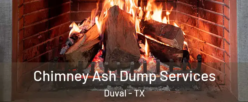 Chimney Ash Dump Services Duval - TX