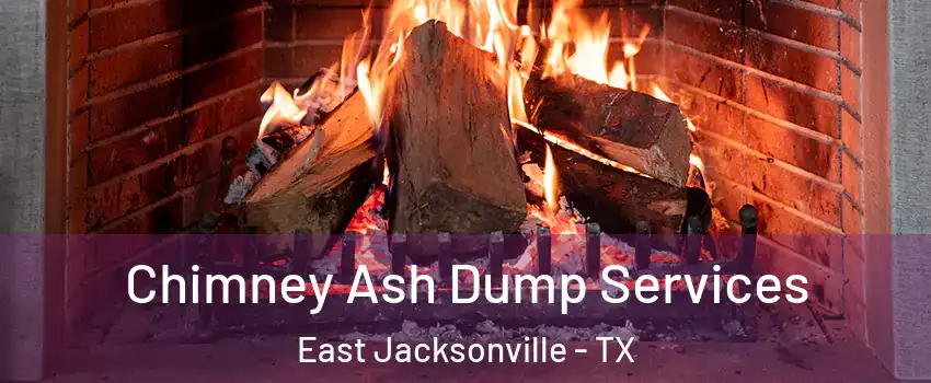 Chimney Ash Dump Services East Jacksonville - TX