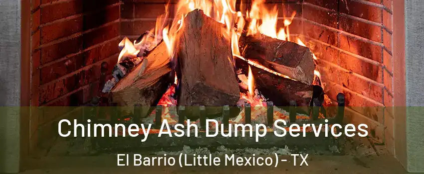 Chimney Ash Dump Services El Barrio (Little Mexico) - TX