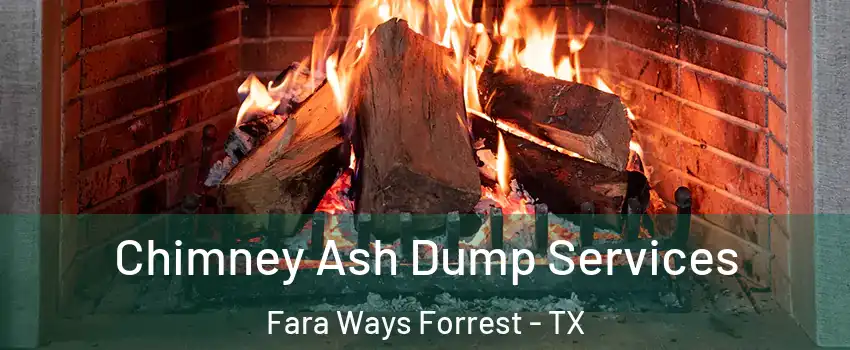 Chimney Ash Dump Services Fara Ways Forrest - TX