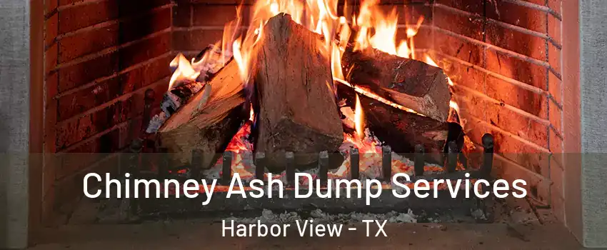 Chimney Ash Dump Services Harbor View - TX