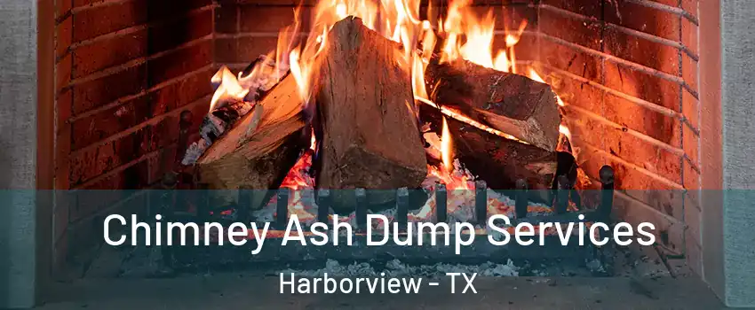 Chimney Ash Dump Services Harborview - TX